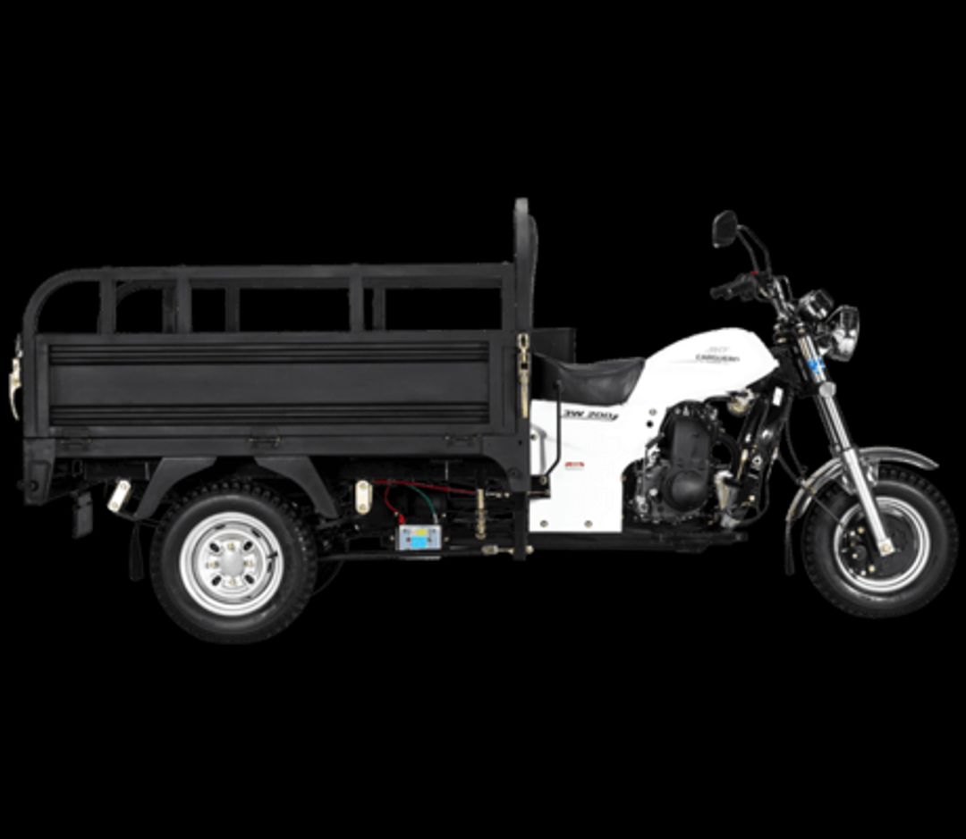 TRIMOTO DE CARGA   [ GALVEZ 300  ]