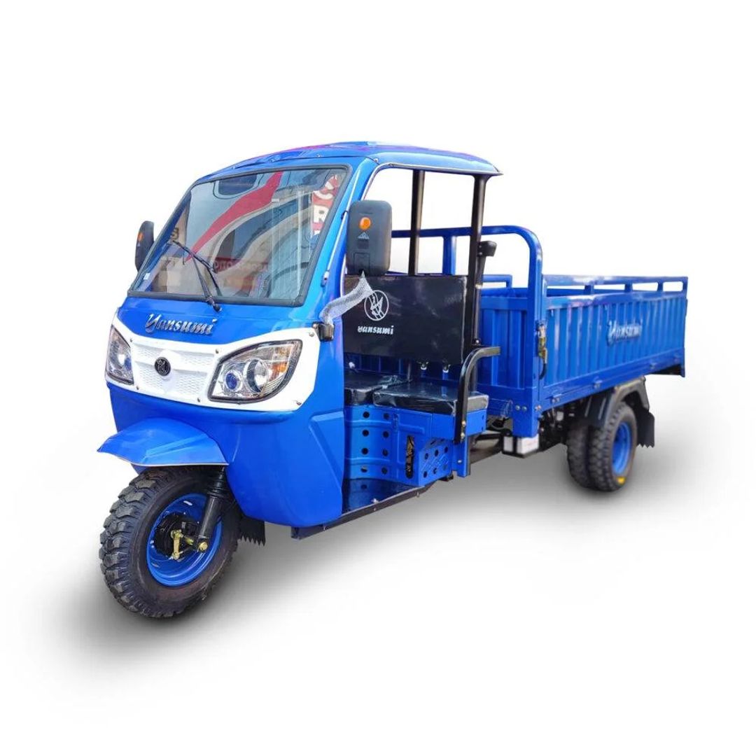 TRIMOTO DE PASAJEROS     [ TM7  ]